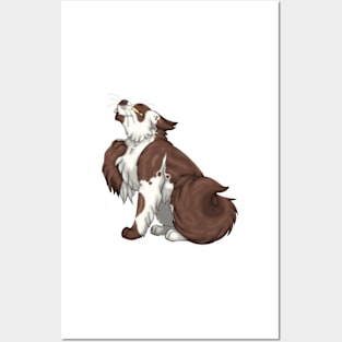 Chocolate Bicolor Longhair Posters and Art